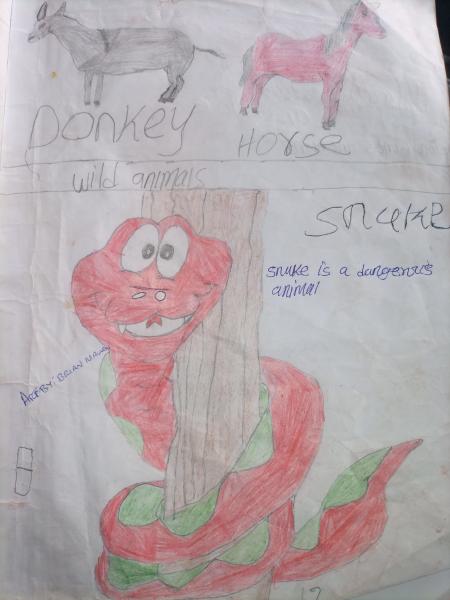 Snake is a dangerous animal