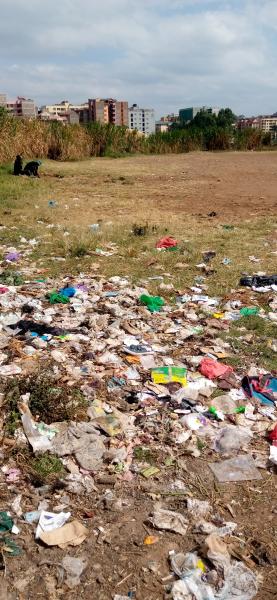 Dumping site in the community 