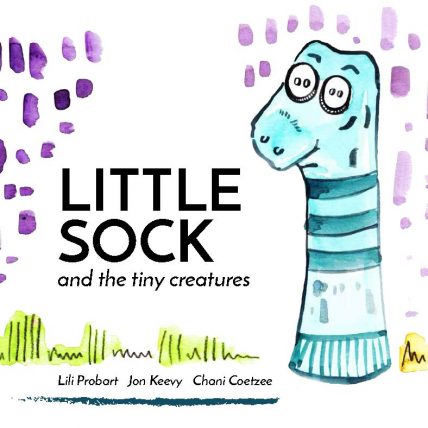 An image of little sock, an early reading and learning children's book